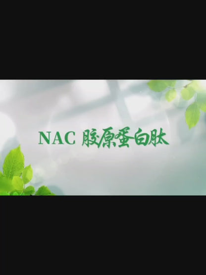 NAC 半胱氨酸蛋白肽