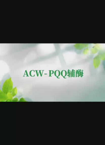ACW PQQ 酵素